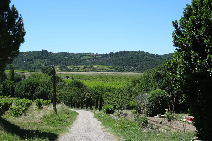 Vue depuis la cour sur le chemin d'arrivée, le potager en contrebas